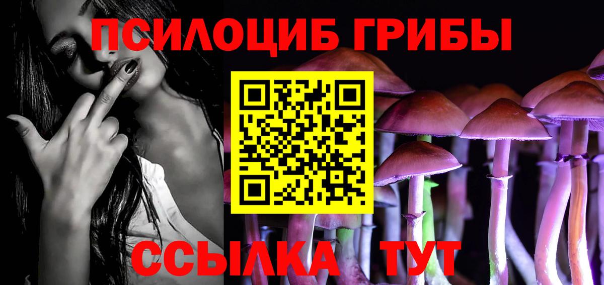 Котельники  Галлюциногенные грибы Magic Shrooms  Вход с VPN 